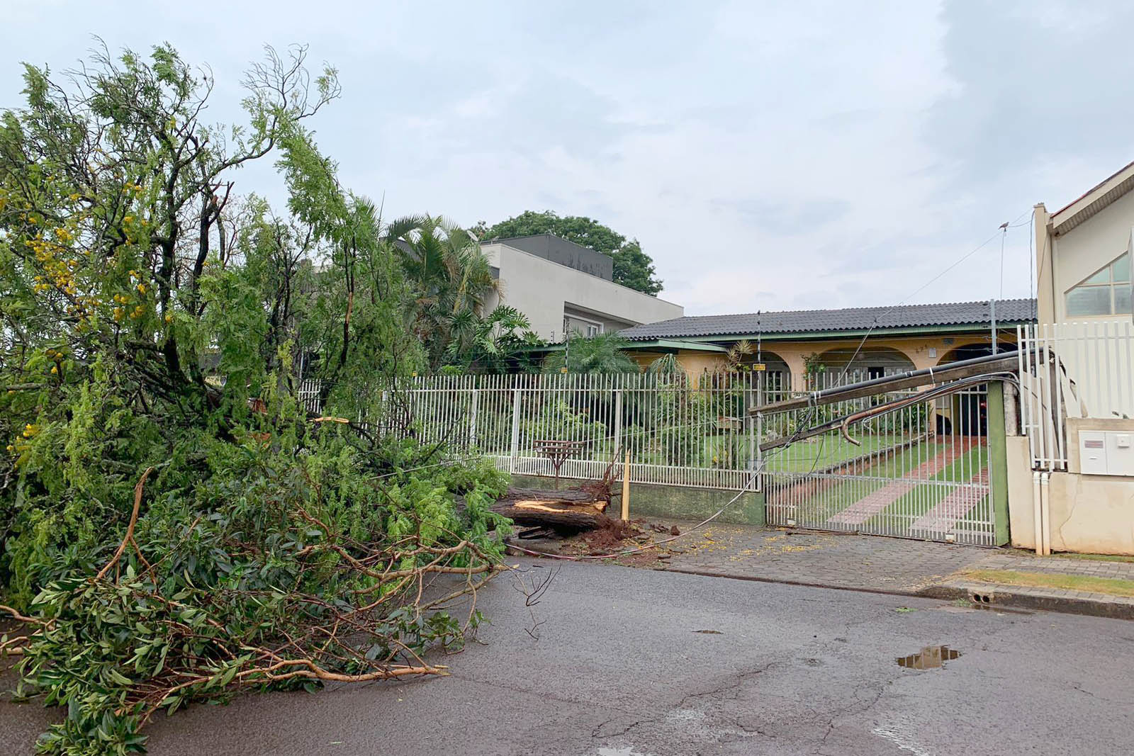 Paraná tem 3,7 mil famílias afetadas por temporais; Simepar detalha tornado de Cascavel Foto: Copel