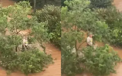Gaúcho é resgatado por bombeiro paranaense após ficar dois dias em árvore somente com duas goiabas