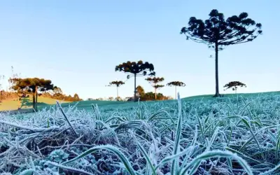 Alerta laranja: Paraná tem aviso para declínio de temperatura com mínima de 6ºC